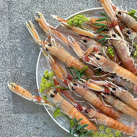 Ariston Отель 4*